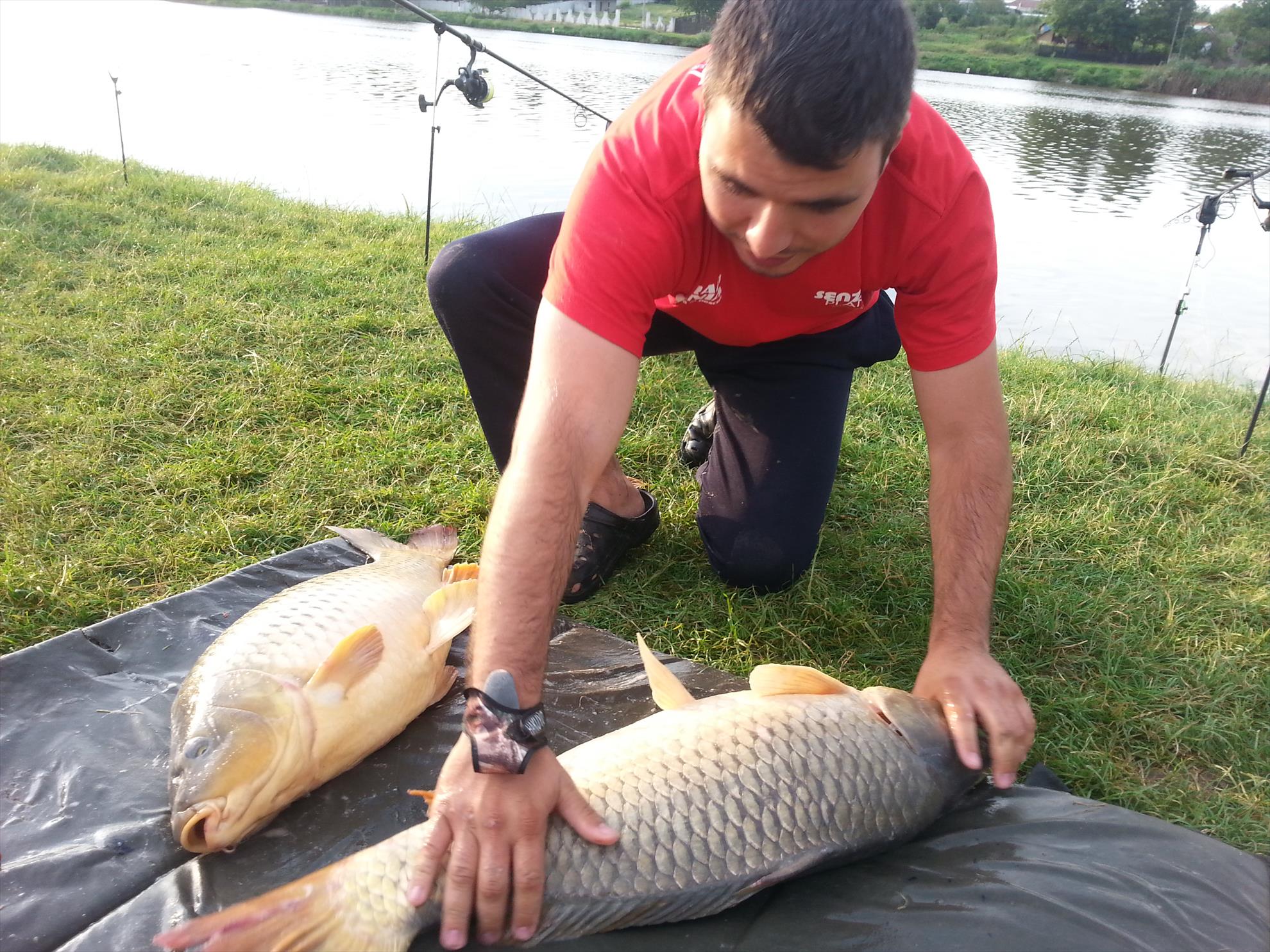 Moara Vlasiei 2 15 - 16 iulie 2014 - 20140716065616.jpg